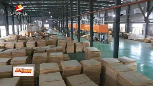 数说长三角隐藏特产 文青都在学的乐器，竟源自苏北小镇的刨花厂