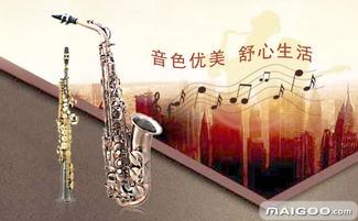 探访乐器之省 山东乐器品牌与厂家的崛起之路